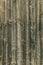 Old wood texture background with planks and rustic nails