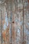 Old wood texture cracked with peeled blue tourquoise paint