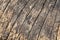 Old wood textures background