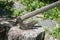 Old wooden axes on wooden log