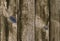 Old  wooden  background, toned. Old grunge dark textured wooden background,The surface of the old  wood texture