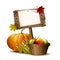 Old Wooden banner with Orange pumpkin, Autumnal leaves and basket full ripe apples