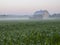 Old Wooden Barn in a Corn Field at Dawn