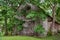 An old wooden barn overgrown with trees that its hard to get inside.