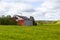 Old wooden barns set in field covered in dandelion in bloom with wooded area in the backgroun