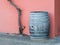 Old wooden barrel, grapevine trunk and pink wall in background