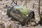 Old wooden barrel with iron rims, broken and rotten, lies in the autumn forest on dry leaves