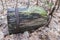 Old wooden barrel with iron rims, broken and rotten, lies in the autumn forest on dry leaves