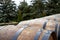 Old wooden barrels for wine
