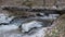 Old wooden beam bridge over a cold mountain river in a winter forest of Catalonia