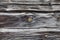 Old wooden beam wall texture