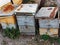 Old Wooden Beehives