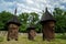 Old wooden beehives in yard