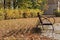 An old wooden bench casts a shadow on the yellow-leafed ground