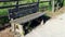 Old wooden bench in the park with inscriptions and cracks, a place to rest, a place to walk