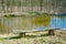 Old wooden bench and pond. Outdoor