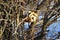 Old wooden birdhouse in the snow on a tree in the park among the snow-covered birches