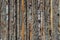 Old wooden boards with bark. Grungy texture backgroundÑŽ