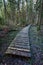 Old wooden boardwalk covered with leaves in ancient forest