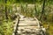 Old wooden bridge