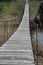 Old wooden bridge across the river and reeds, green nature.