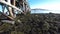 Old wooden bridge and calm waves and bright sunshine in northern norway