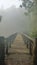 Old wooden bridge in the cold mist