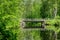 Old wooden bridge crossing a river in a lush green Swedish landscape