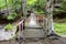 old wooden bridge in deep forest,