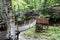 Old wooden bridge in deep forest,