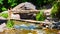 Old wooden bridge and a flow river