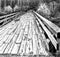 old wooden bridge in the forest