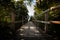 Old wooden bridge in nature with converging lines leading into