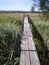 Old wooden bridge in the reeds over the creek