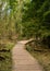 Old Wooden bridge in the spring forest, Belovezhskaya Pushcha,