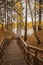 Old wooden bridge with stairs in forest. Staircase in the wood. Footbridge in park. Adventure and explore concept