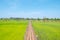 The old wooden bridge stretches in the rice fields