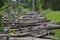 Old wooden bridge, wooden, brown, trees.