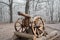 Old wooden cannon of the Cossacks, on a pedestal in the winter forest