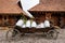 Old wooden cart with a lots of aluminium canisters used once a long time ago from the farmman to deliver the products near wooden