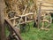 Old wooden cart-wheels on green grass.