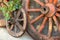Old wooden cart wheels with a plant.