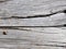 Old wooden crack,Grey color in horizontal line for background.