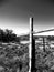 Old wooden cross on barbed wire fend marks boundary of cemetery in rural New Mexico along old Route 66