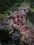 Old wooden crumbling bench in the nature overgrown with moss