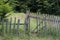 Old wooden damaged fence