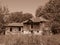 Old wooden decrepit shabby house in need of repair with damaged roof, walls, doors,  and broken windows. Sepis colour.