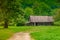 Old wooden dilapidated house in a green forest