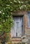 Old Wooden Door Framed by White Roses