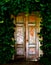 Old Wooden Door Hidden in Garden of Ivy